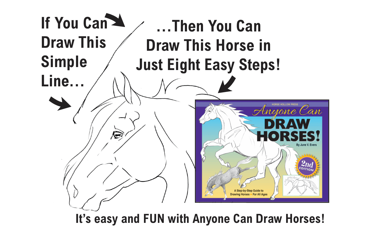 Horse Hollow Press  - Art Kit Horse Equestrian / Anyone Can Draw Horses Art Kit