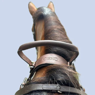 Correct Connect™ - 3-Point Breastplate with Double Neck Strap