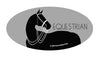 Horse Hollow Press - Horse Laptop, Cell Phone & Helmet Sticker: EQUESTRIAN - Exceptional Equestrian