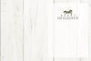 Horse Hollow Press - Horse Boxed Christmas Cards / Blankets Wreath / 8 Holiday