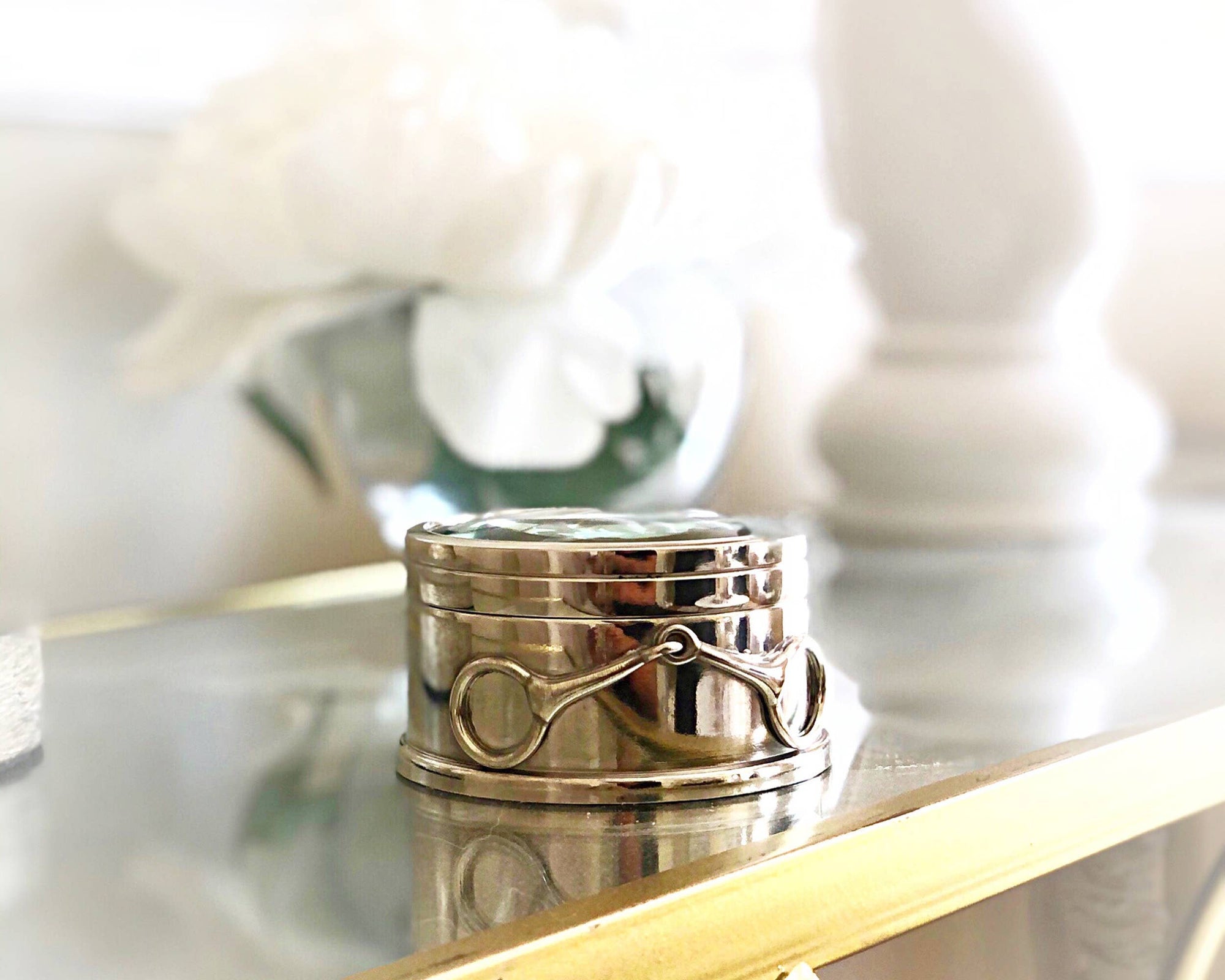 Vagabond House - Equestrian Bit Magnifying Box - Exceptional Equestrian