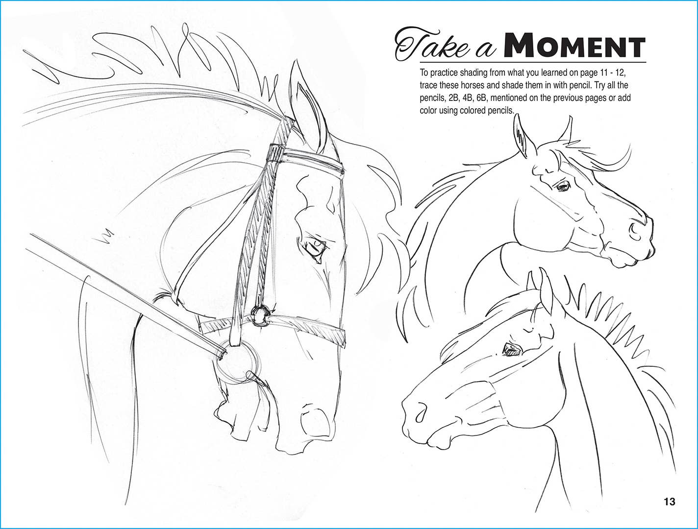 Horse Hollow Press  - Art Kit Horse Equestrian / Anyone Can Draw Horses Art Kit