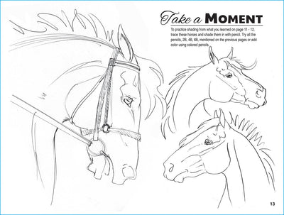 Horse Hollow Press  - Art Kit Horse Equestrian / Anyone Can Draw Horses Art Kit