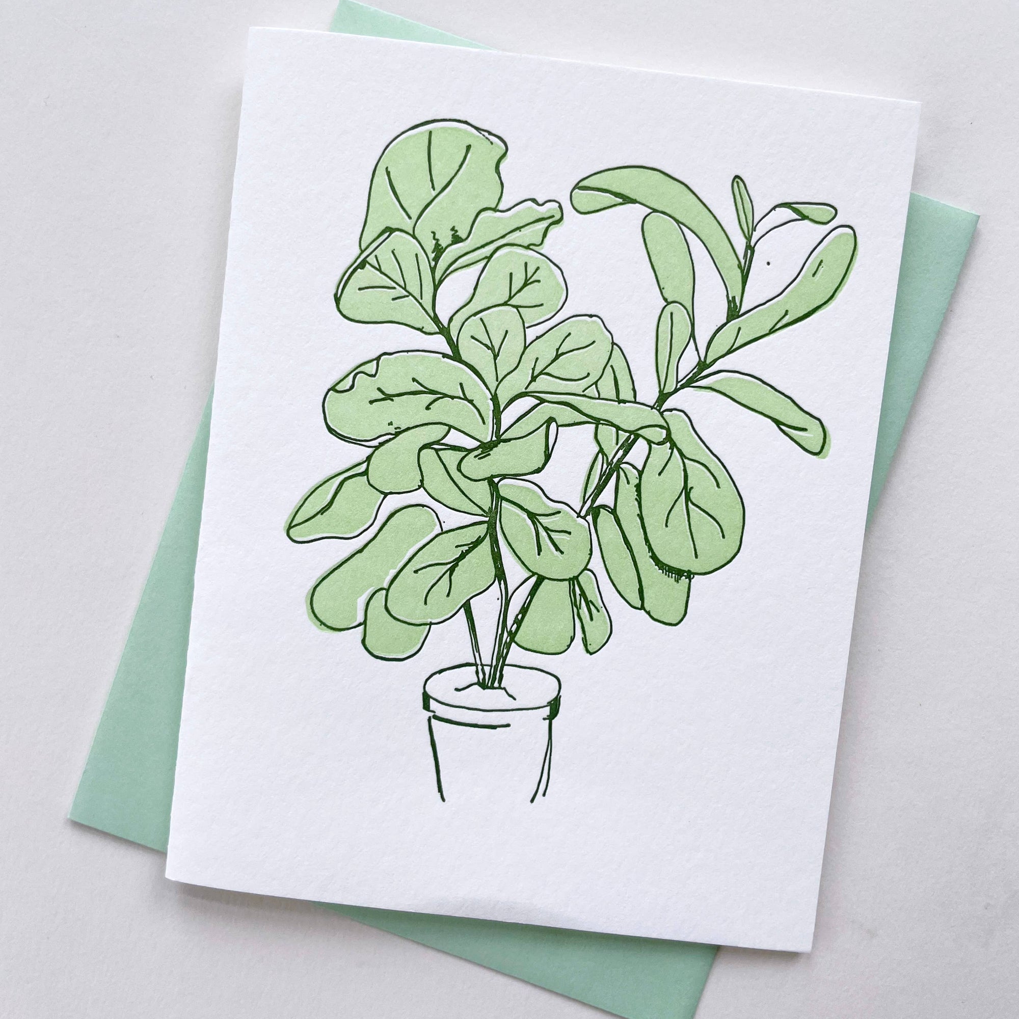 Steel Petal Press - Fiddle Leaf Fig - Letterpress Thank You Greeting Card
