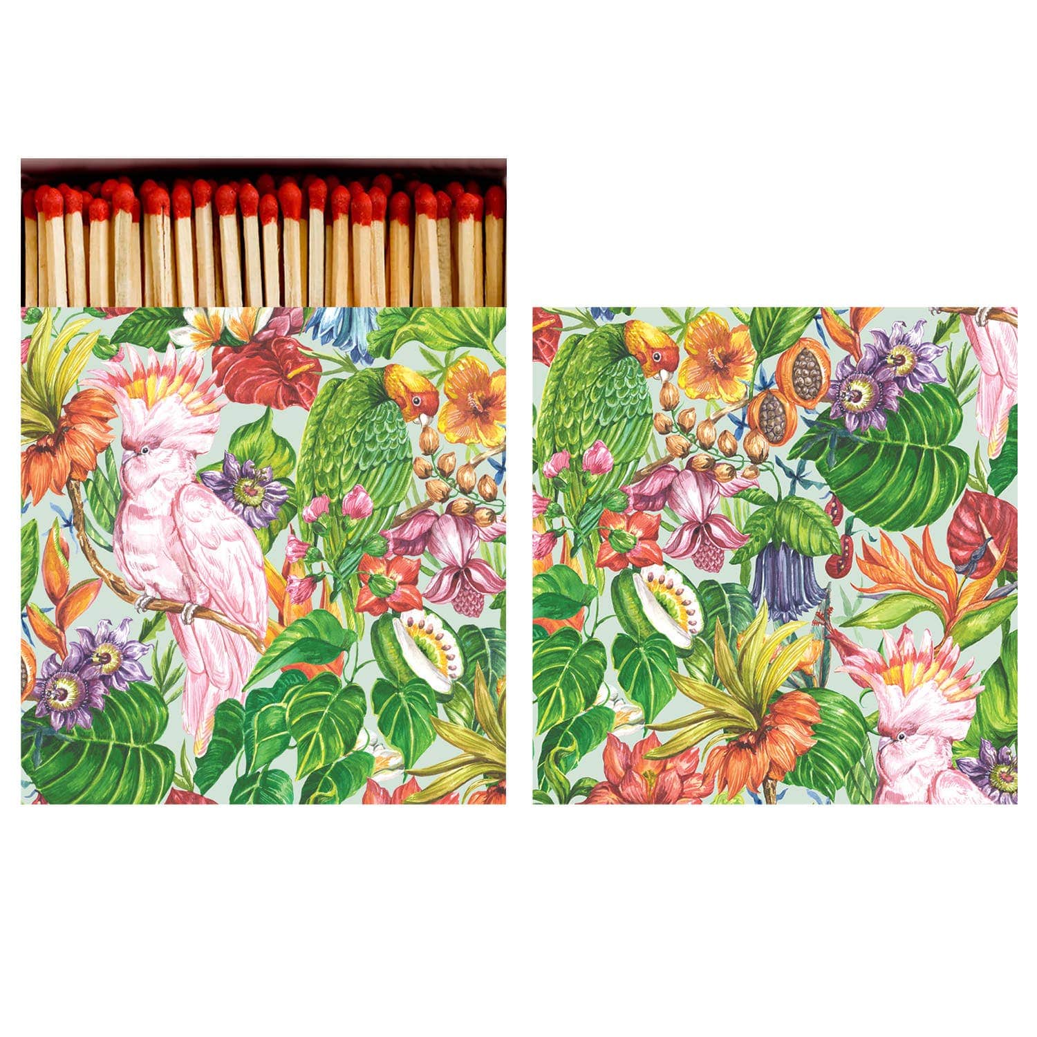 Hester & Cook - Stationery - Birds of Paradise Matches