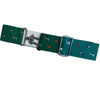 Kathryn Lily Equestrian - Green Sporty Horse Elastic Belt 1.5"