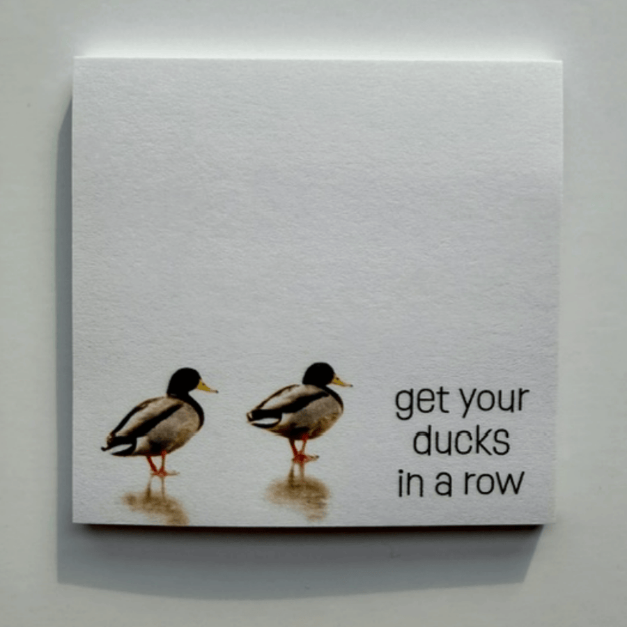 Forever Caroline - Sticky Notes w/ Mallard Ducks & Ducks in a Row | 50 Sheets