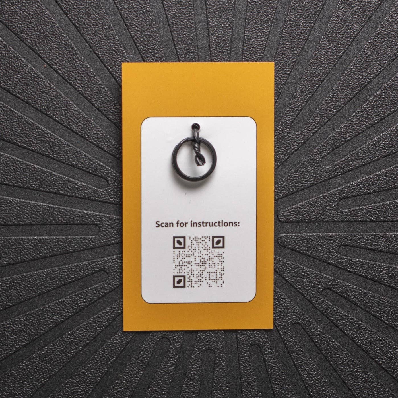 Pinsnickety - Clover Charm - Exceptional Equestrian