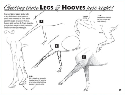 Horse Hollow Press  - Art Kit Horse Equestrian / Anyone Can Draw Horses Art Kit