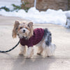 Shedrow K9 - Shedrow K9 Brentwood Cable Knit Dog Sweater - Winetasting: Medium Small