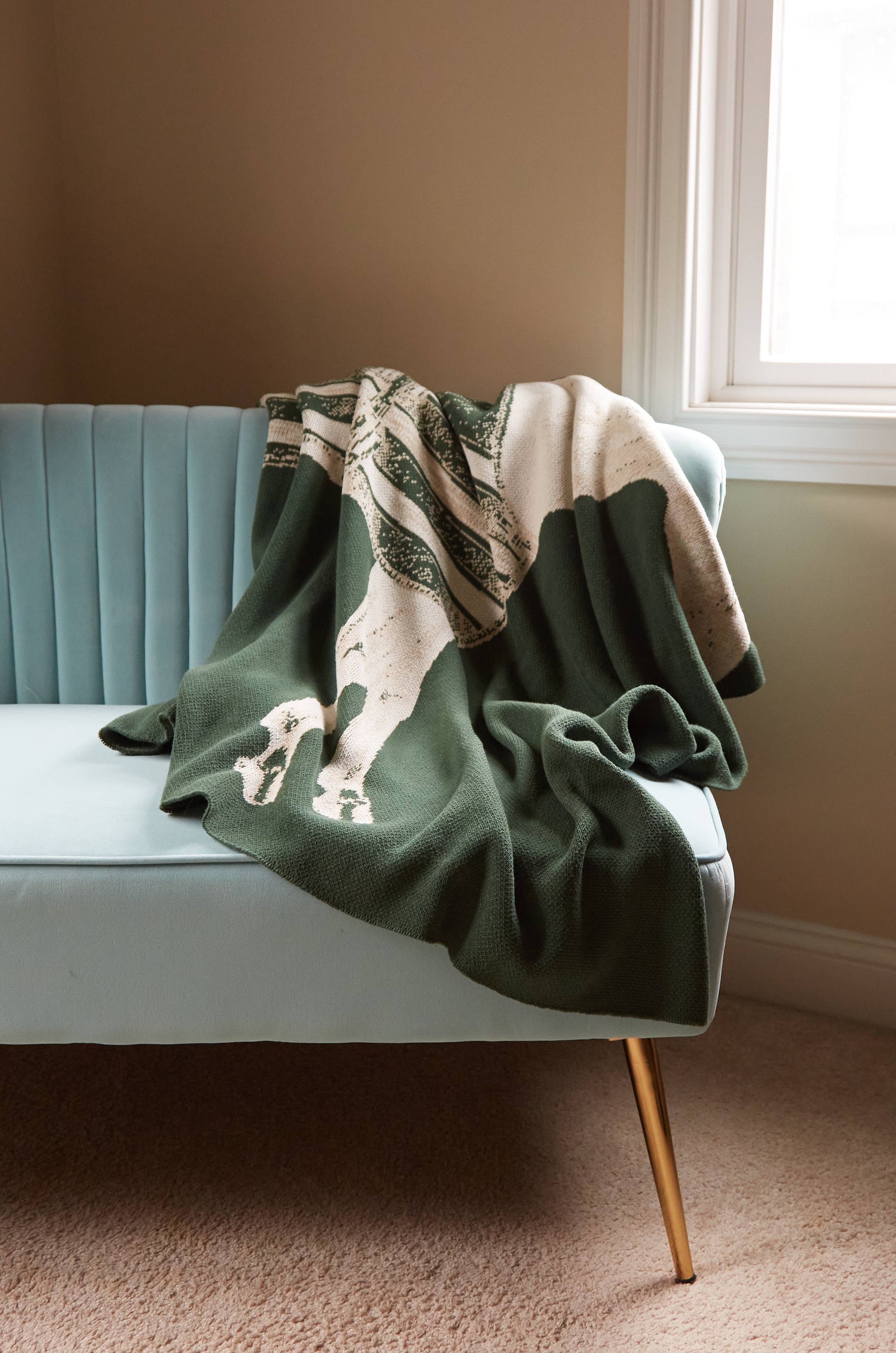 ThomasPaul - THOROUGHBRED THROW HUNTER - Exceptional Equestrian