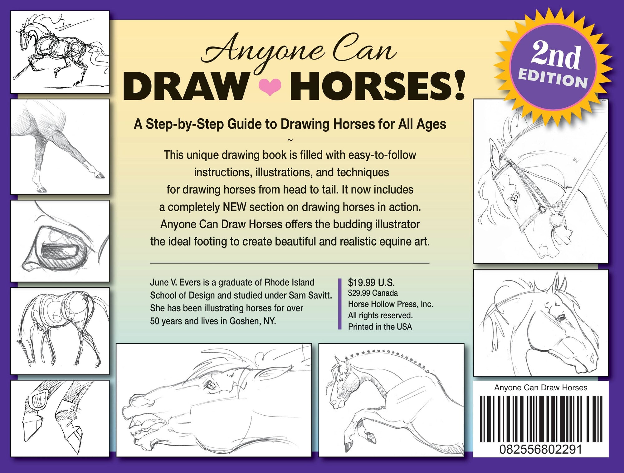 Horse Hollow Press - Art Book Animal Horse / Anyone Can Draw Horses / All ages
