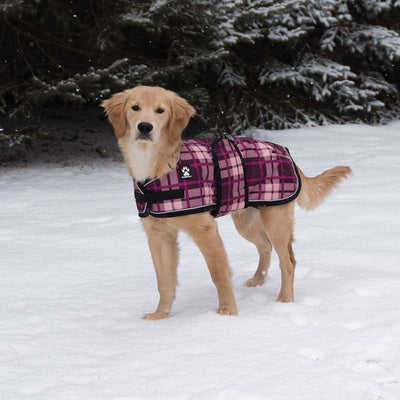 Shedrow K9 - Shedrow K9 Glacier Dog Coat - Potent Purple Plaid: Small