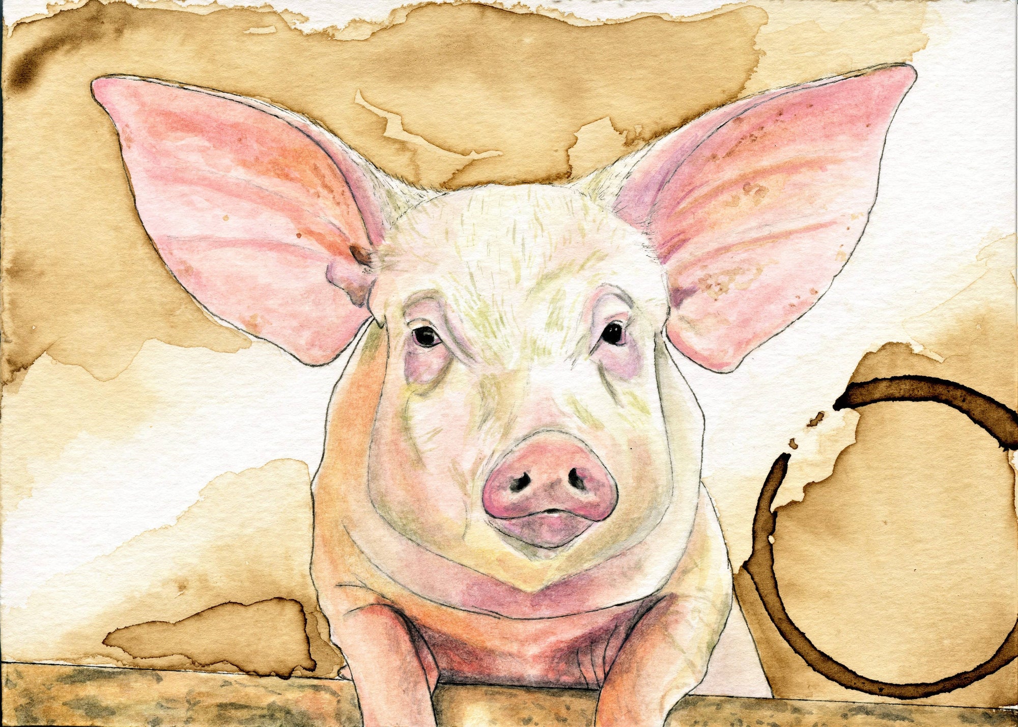 Forever Caroline - Whimsical Pig All-Occasion Greeting Card | Farmhouse Art