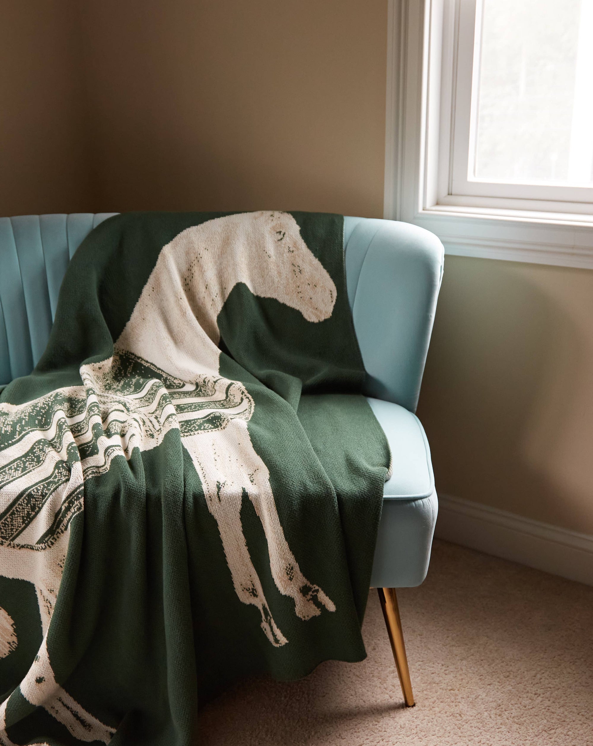 ThomasPaul - THOROUGHBRED THROW HUNTER - Exceptional Equestrian