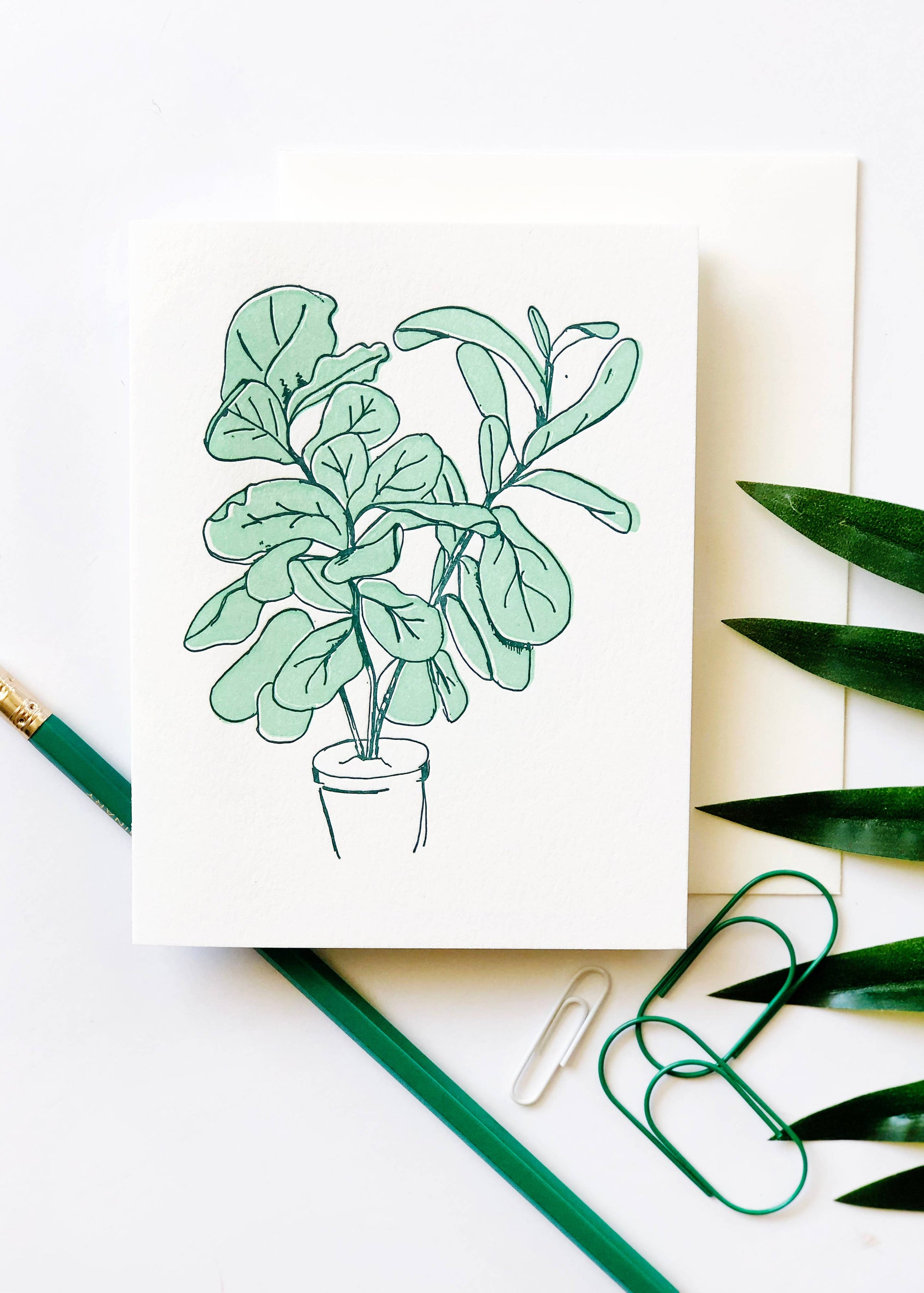 Steel Petal Press - Fiddle Leaf Fig - Letterpress Thank You Greeting Card
