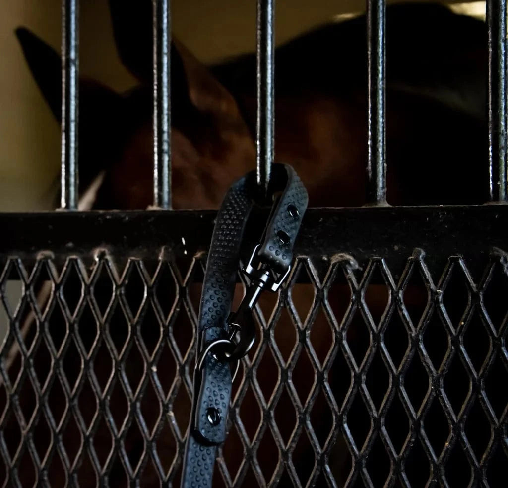 Ace Equestrian PRO4MANCE | Com4rt Grip Dog Leash