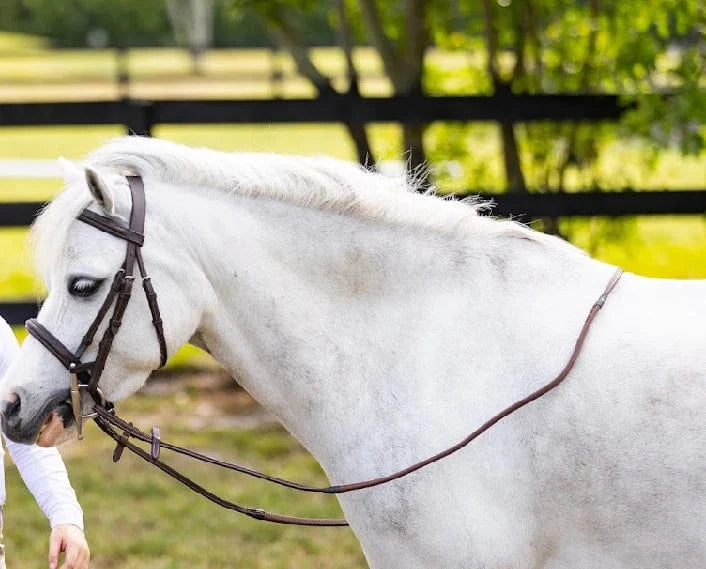 Belle & Bow- Rubber Reins