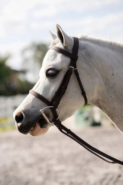 Belle & Bow Farnley Bridle