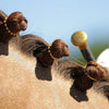 Spiced Equestrian - Rhinestone Braid Bling