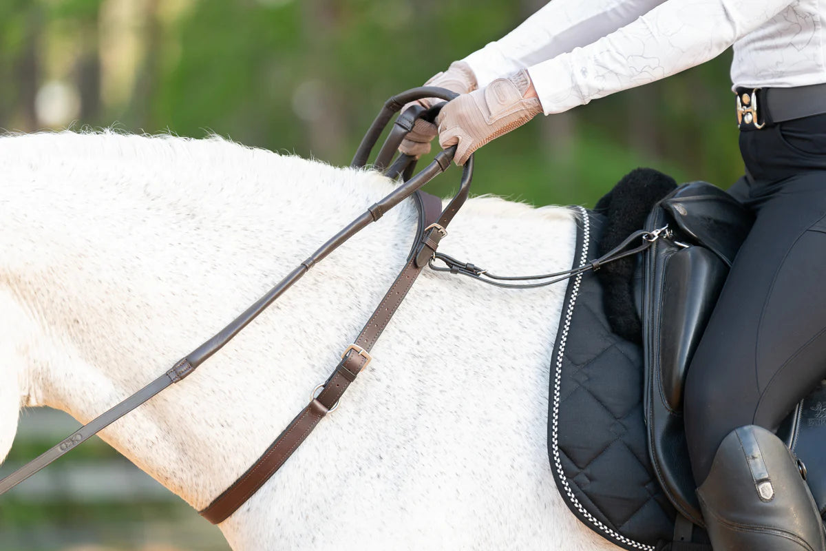 The Eques Pante Collection - Exceptional Equestrian