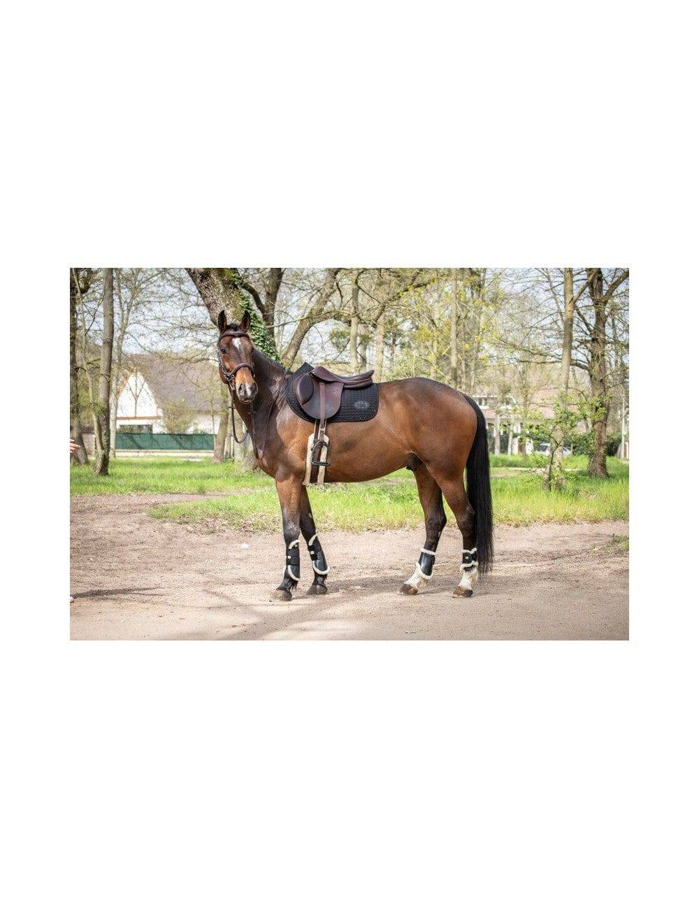 Jump'in Carat Saddle Pad - Exceptional Equestrian