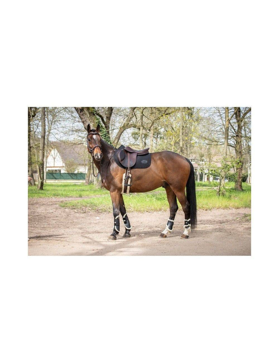 Jump'in Carat Saddle Pad - Exceptional Equestrian 