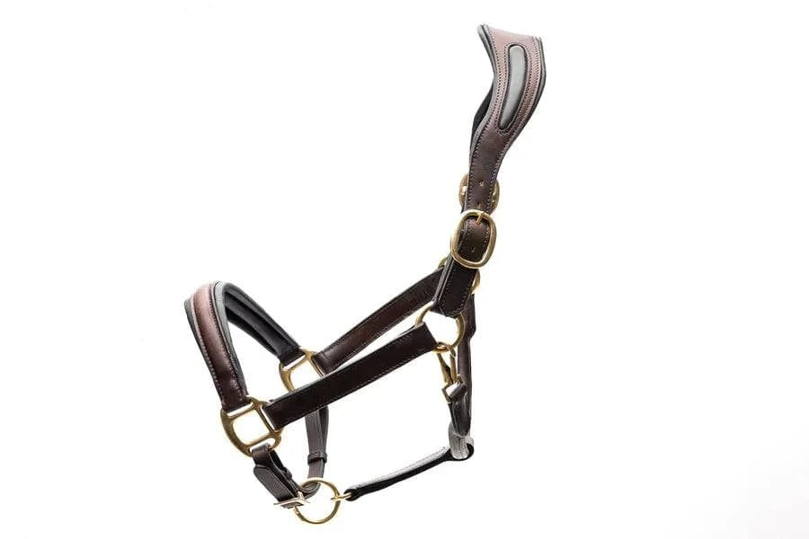 Correct Connect™ Ergonomic Halter with Black Padding - Exceptional Equestrian