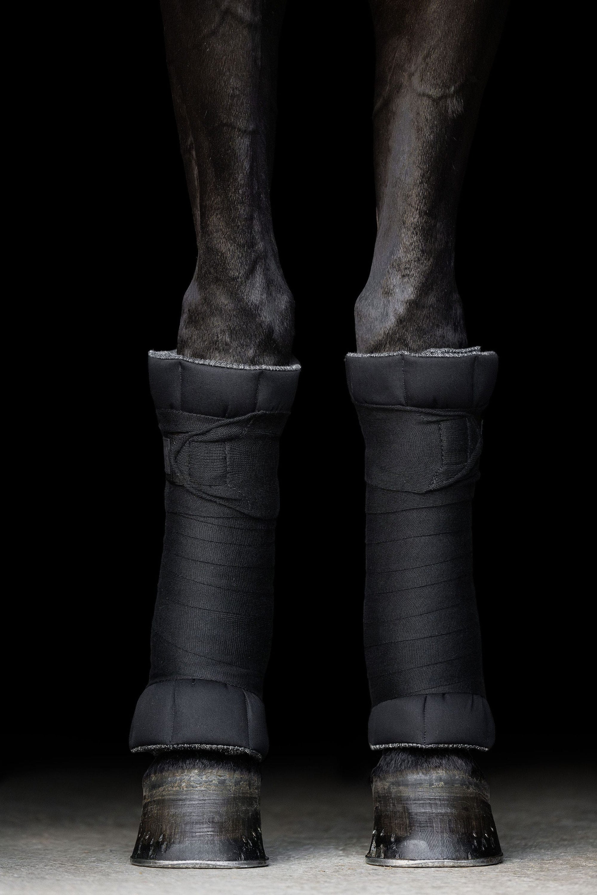 Incrediwear Equine - Circulation Standing Wraps