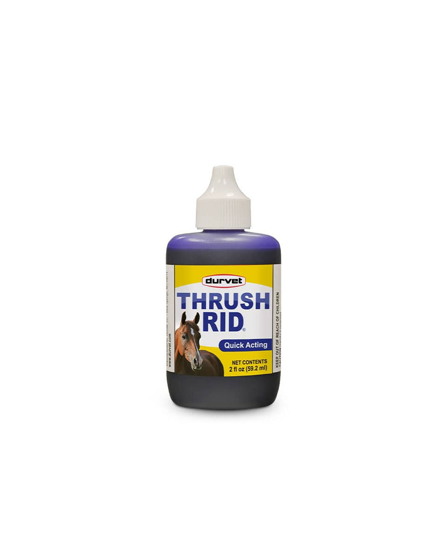 Thrush Rid for Horses - Exceptional Equestrian 