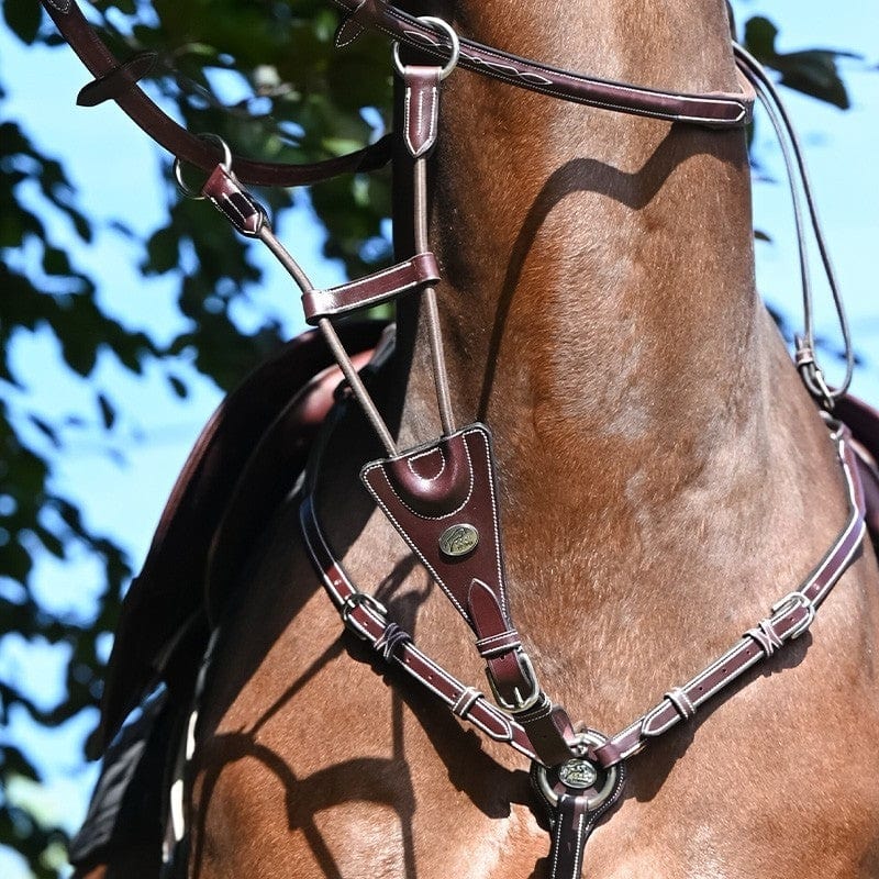 Jump'In Week Collection Elastic Martingale for breastplate