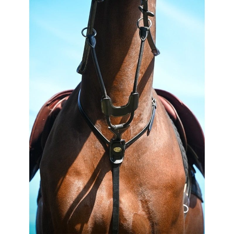 Jump'In Elastic Week Collection Running Martingale