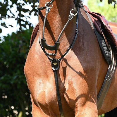 Jump'In Elastic Week Collection Running Martingale