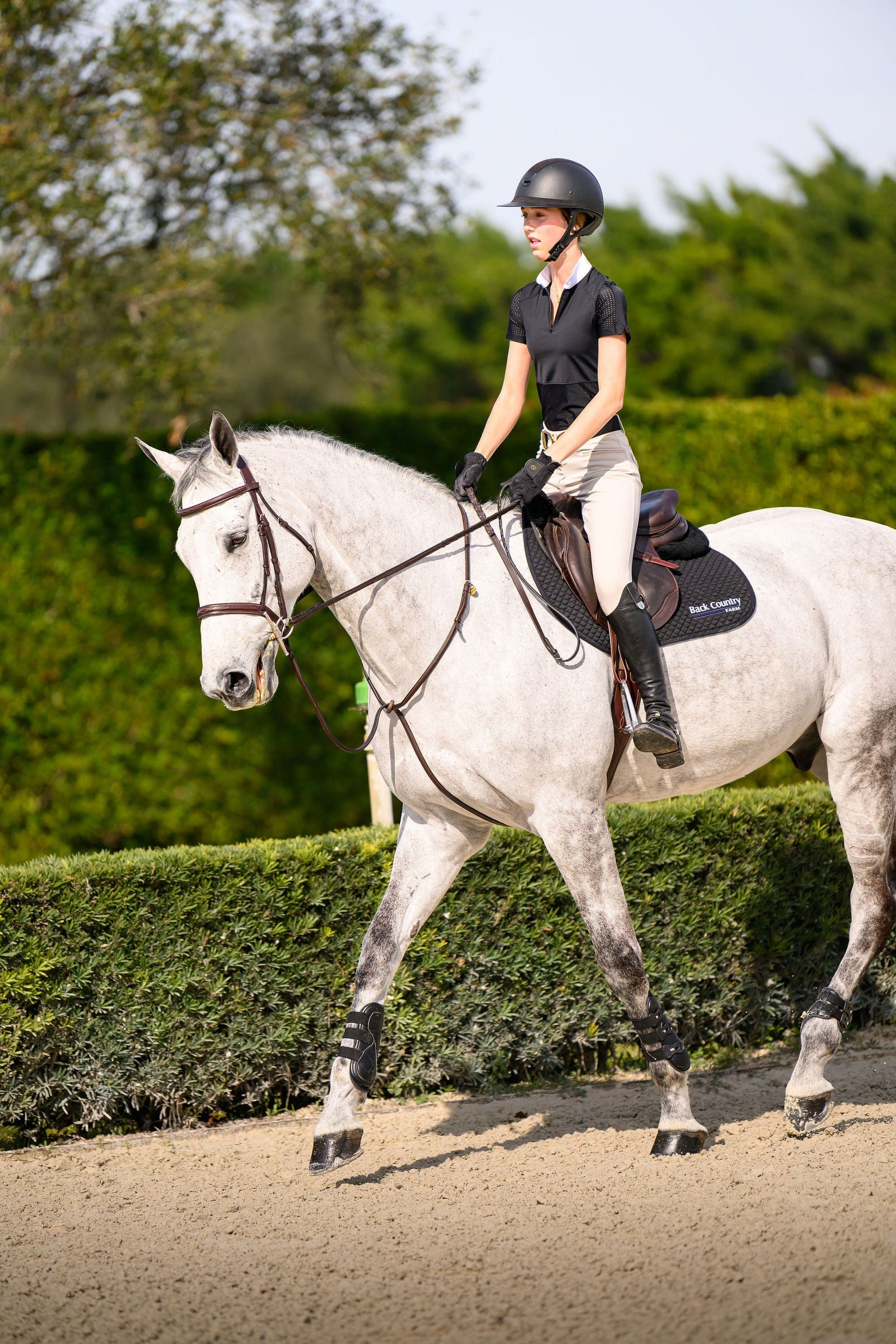 Euphoric Equestrian - Grace Short Sleeve Competition Shirt