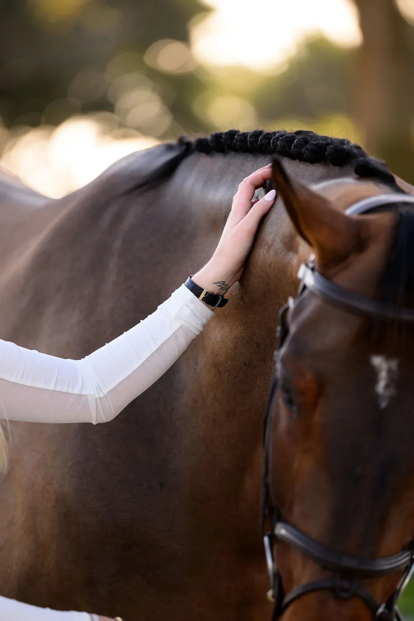 Euphoric Equestrian - Aspen Turtleneck