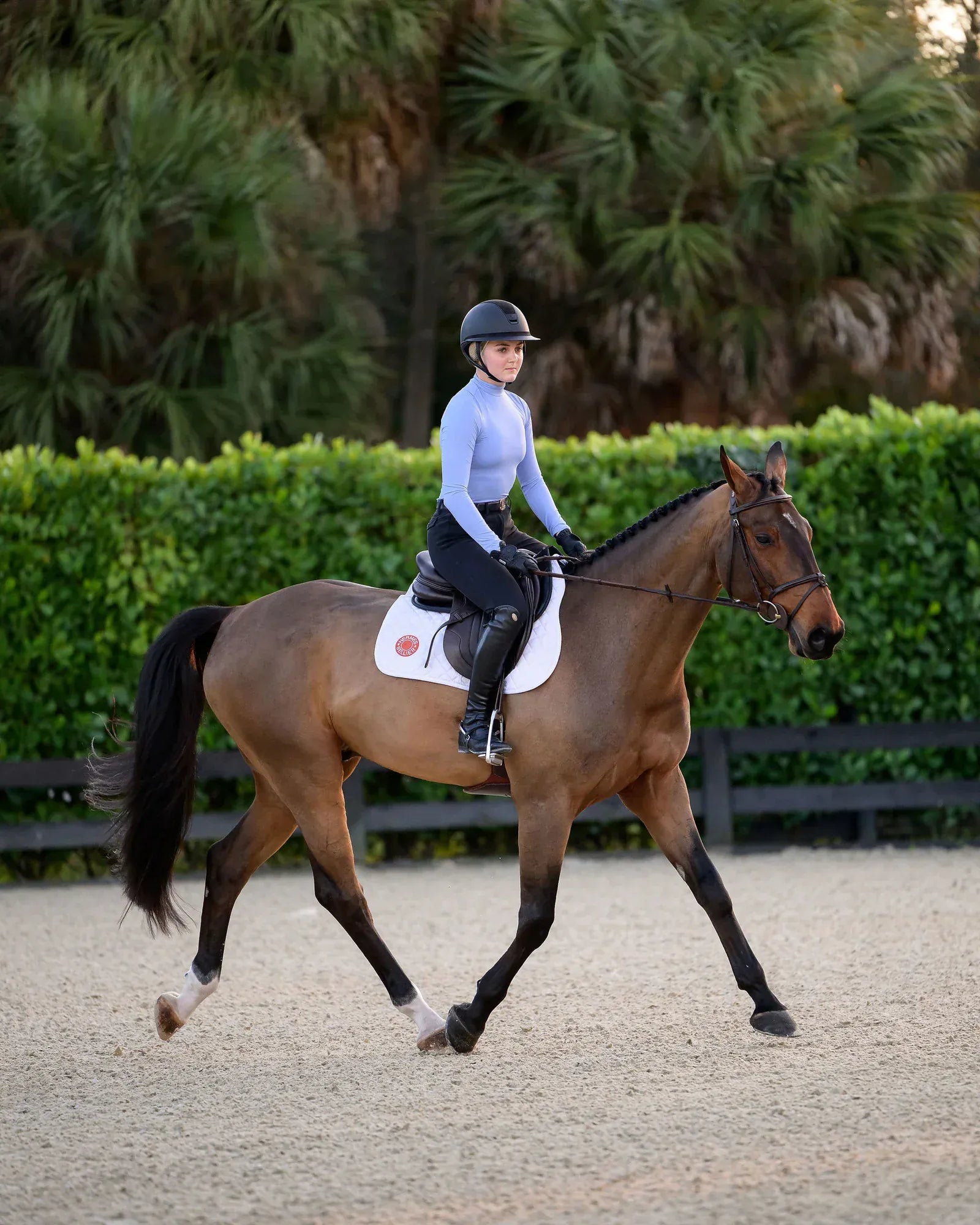 Euphoric Equestrian - Aspen Turtleneck