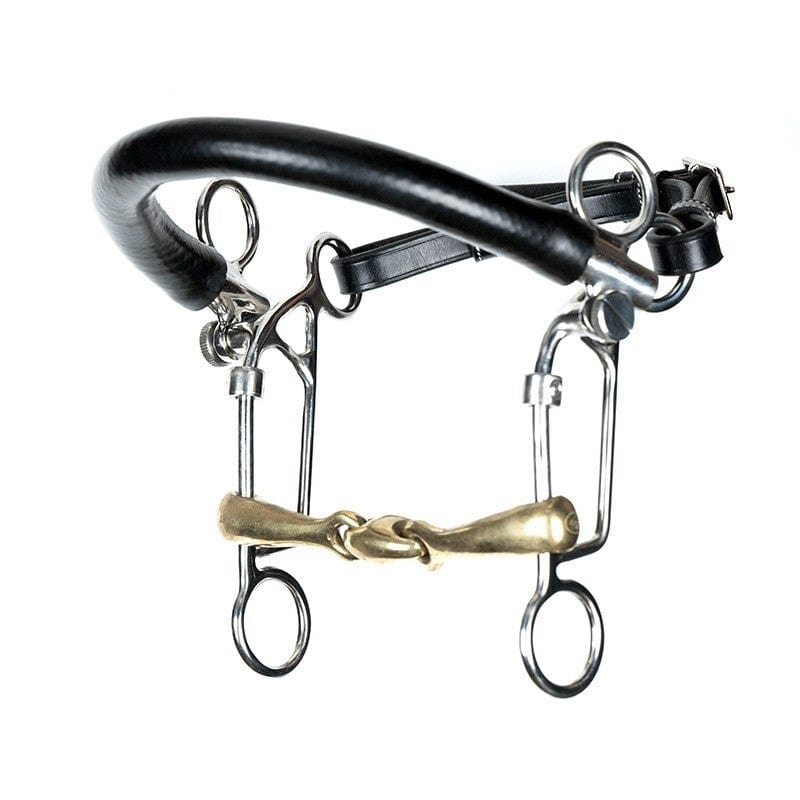 Jump'In French Mouth Combination bit