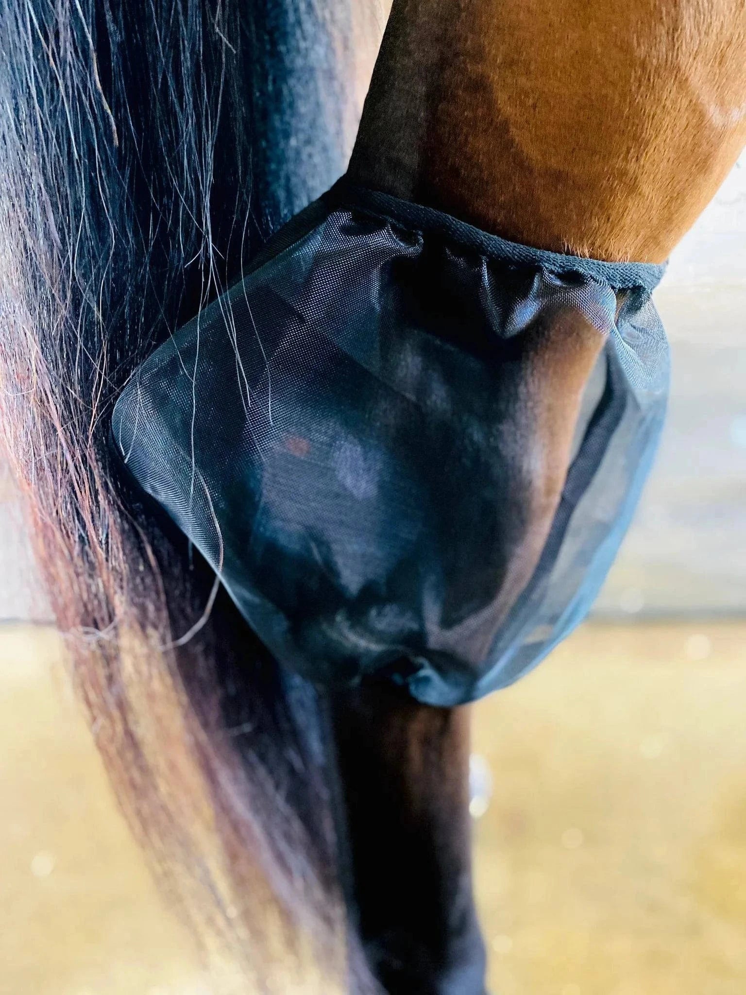 ACE PRO4MANCE | Com4rt Mesh Hock Nets - Exceptional Equestrian