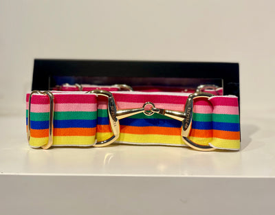 Pesazia - Logo Stretch Bit Belts - Rainbow Stripes w/ Gold Snaffle Bit