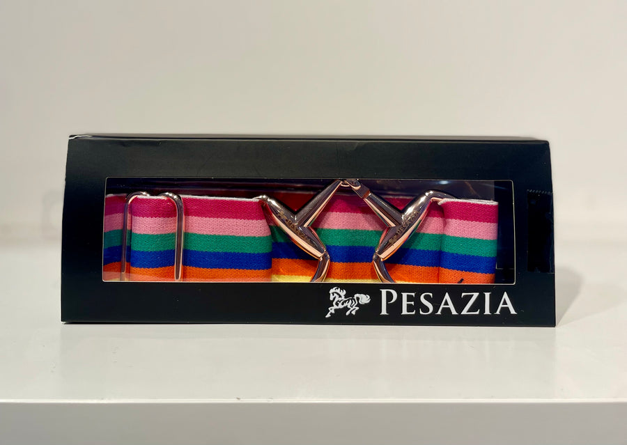 Pesazia - Logo Stretch Bit Belts - Rainbow Stripes w/ Rose Gold Snaffle Bit