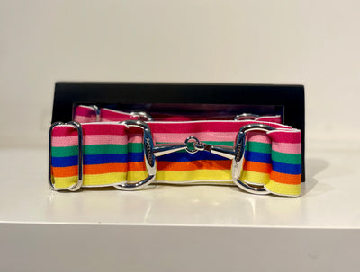 Pesazia - Logo Stretch Bit Belts - Rainbow Stripes w/ Silver Snaffle Bit