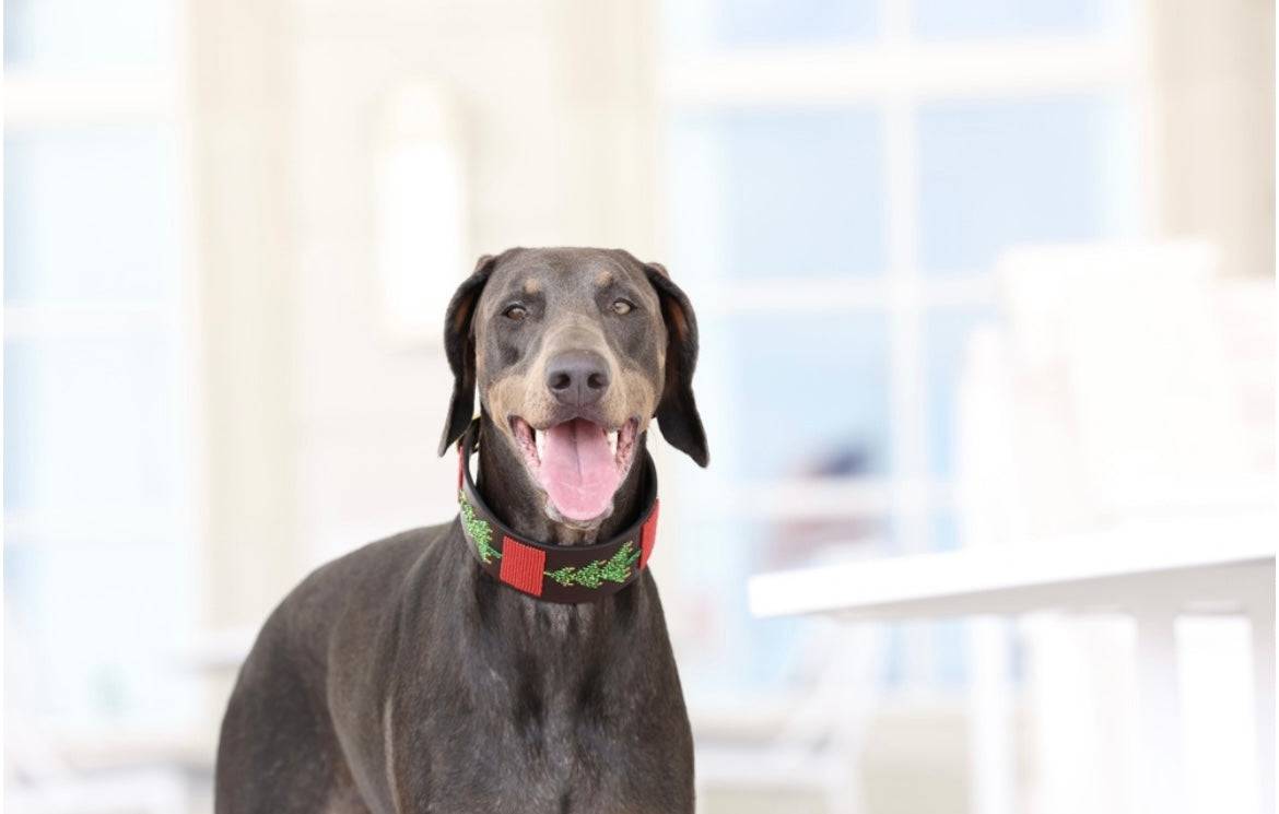 TKC Exclusive Holiday Christmas Tree Beaded Dog Collar - Exceptional Equestrian