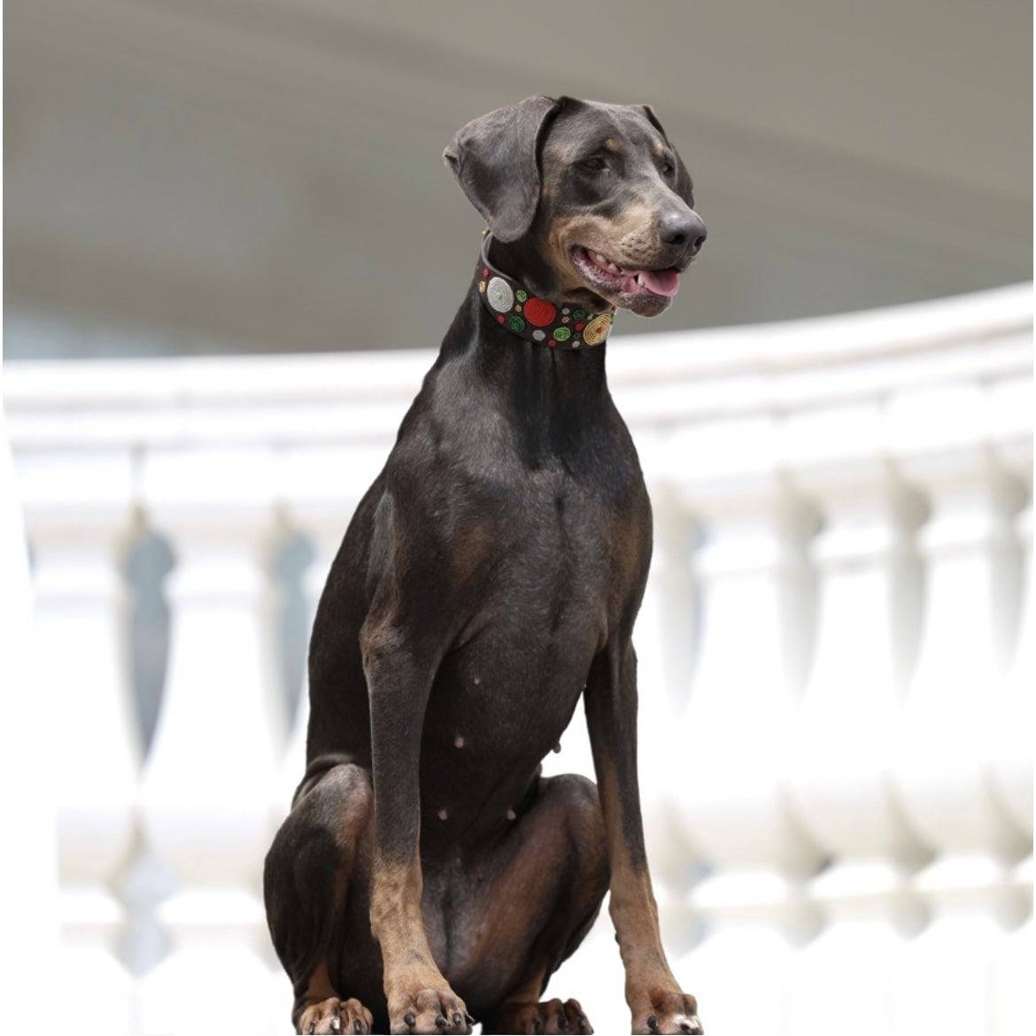 TKC Exclusive Holiday Dots Beaded Dog Collar - Exceptional Equestrian