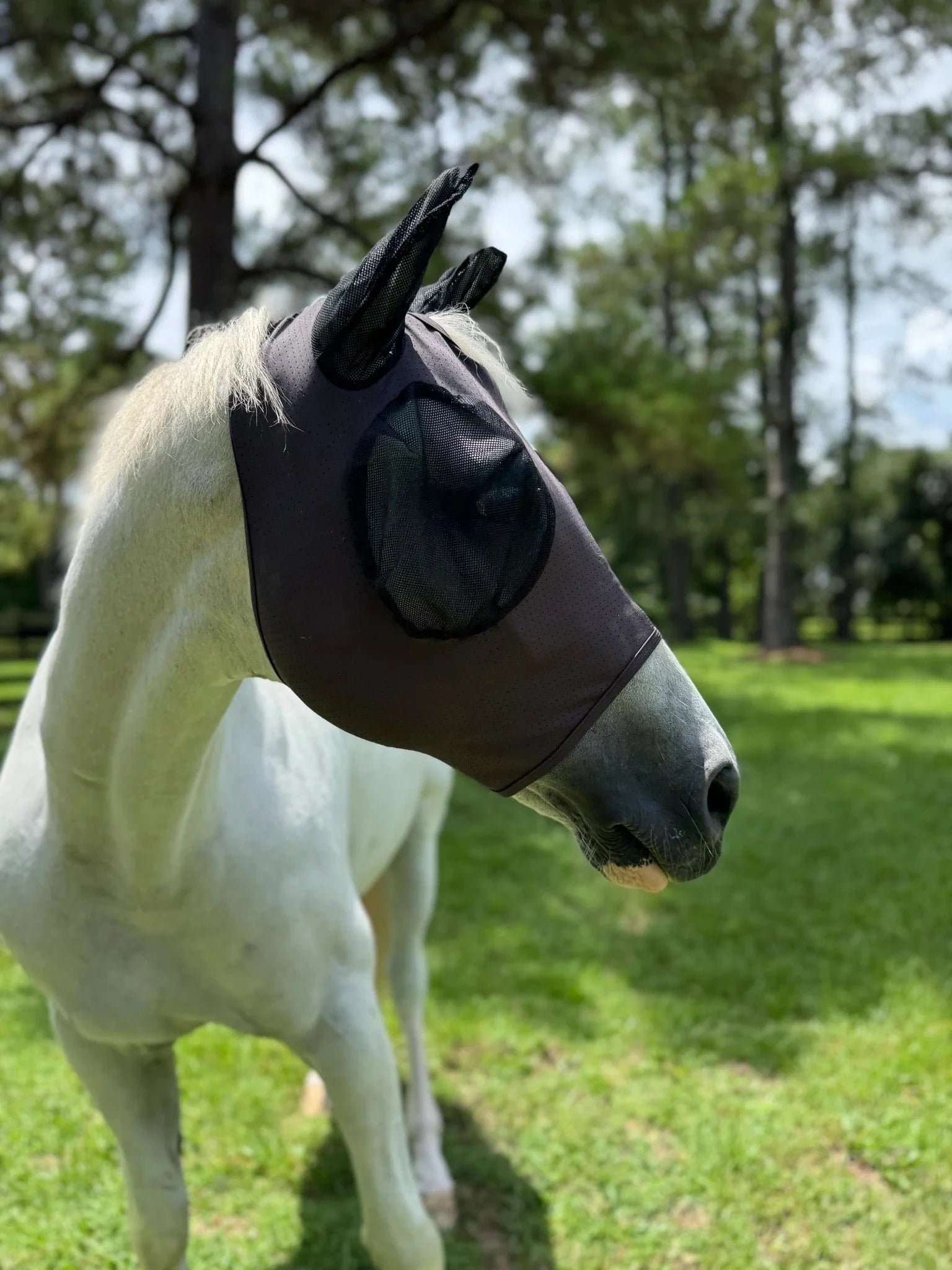 ACE PRO4MANCE | Com4rt Stretch Breathable Fly Mask