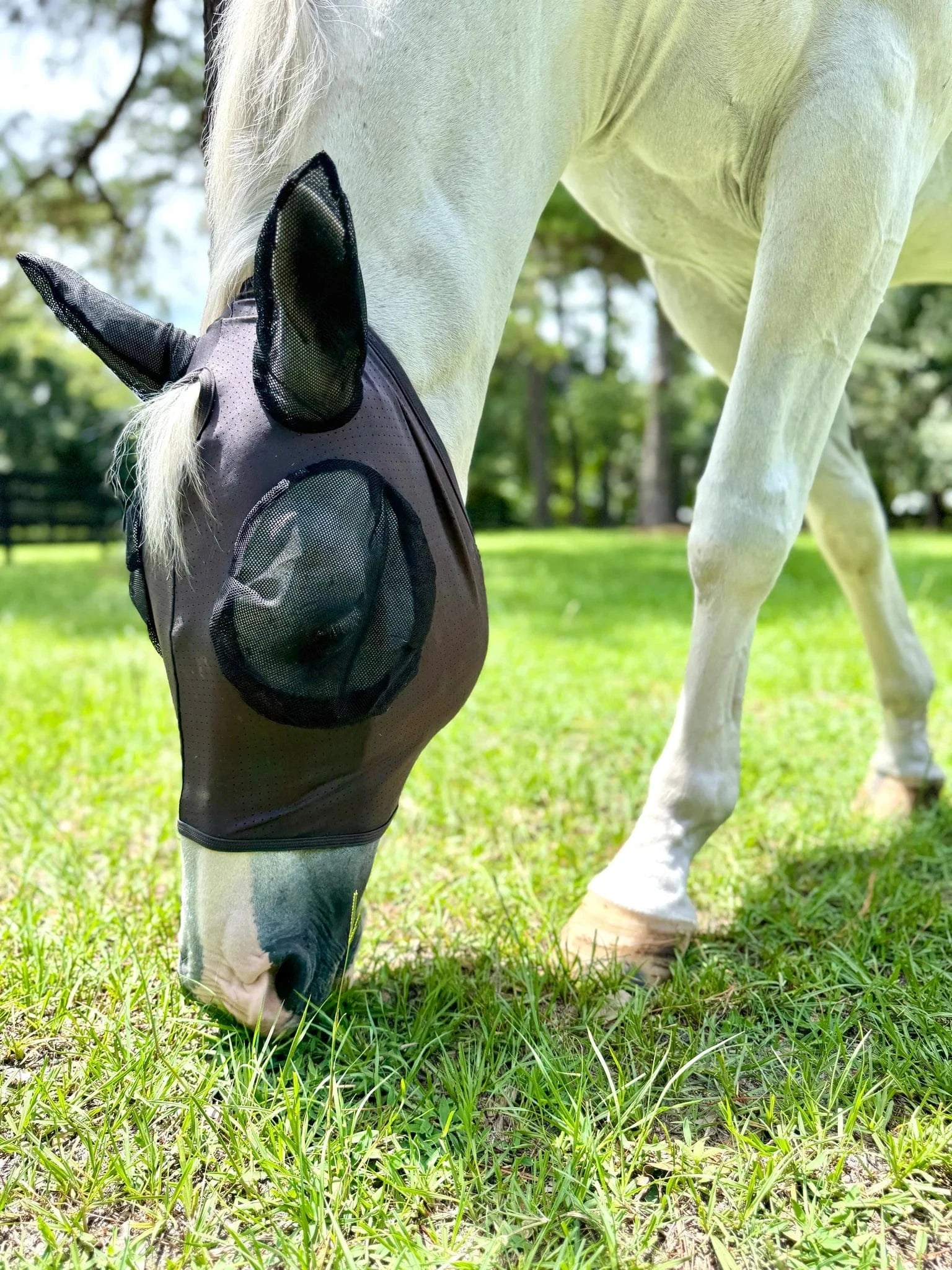 ACE PRO4MANCE | Com4rt Stretch Breathable Fly Mask