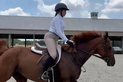 Heart Horse Dream Breeches