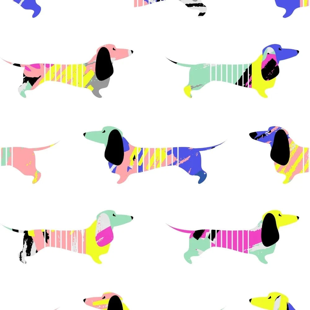 RJ Classics - Brynn Junior SS Show Shirt - Happy Doxies - SS25 - Small Only