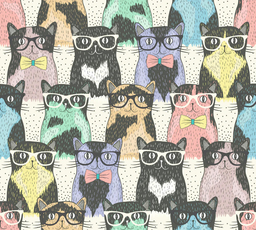 HocSocx ShowSocx - Hipster Cats