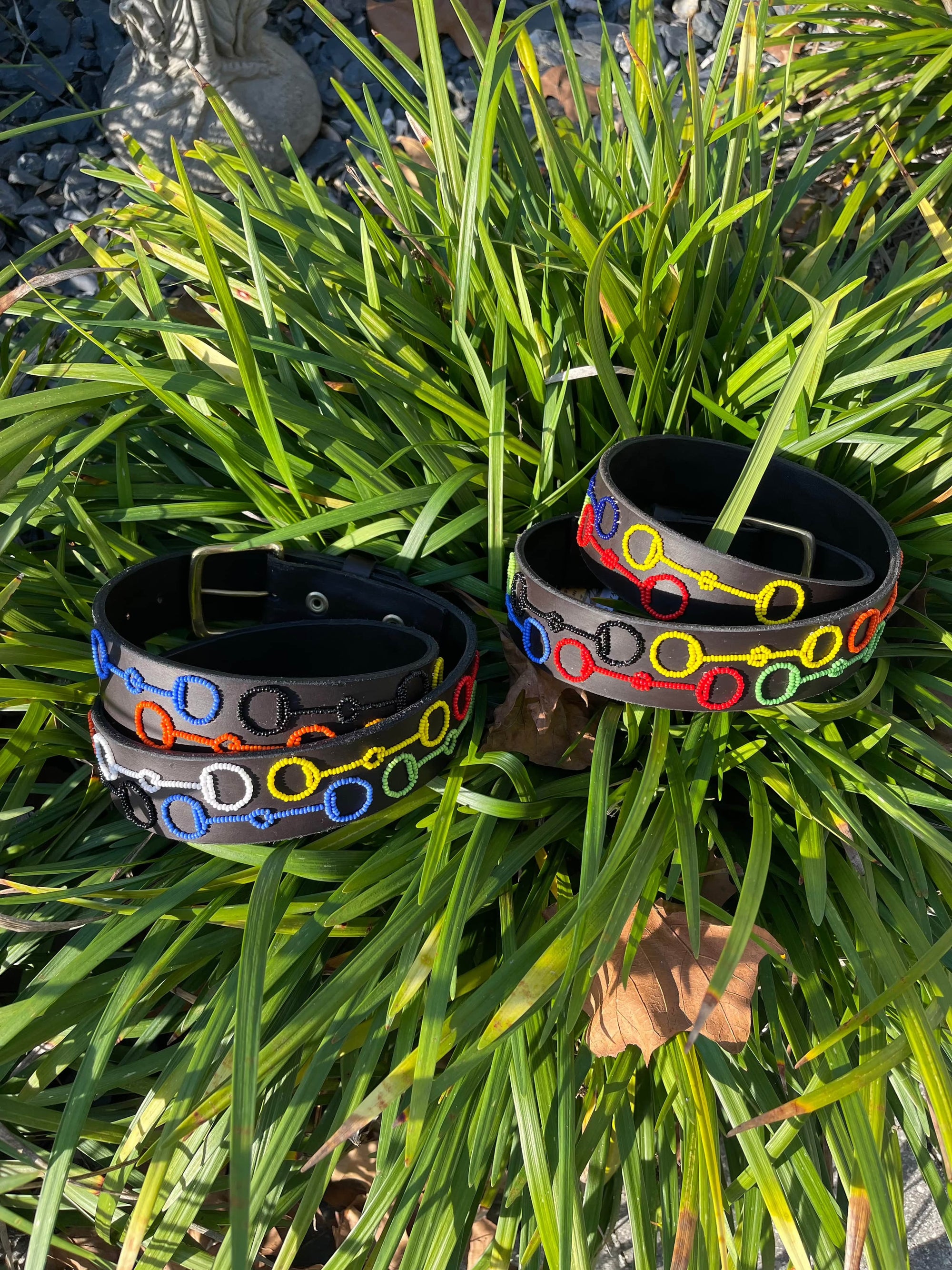 TKC Just a Little Bit Belt - Exceptional Equestrian