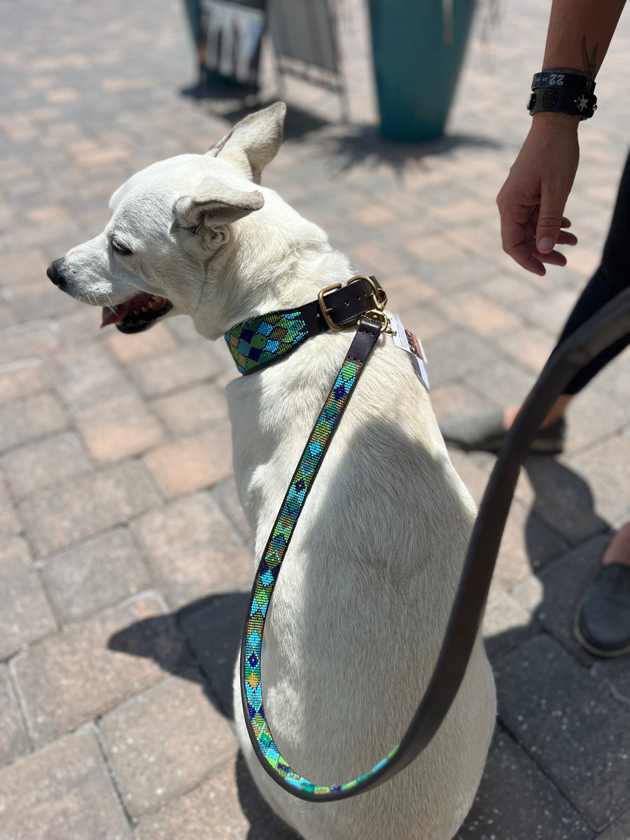 "Peacock Argyle" Beaded Dog Lead